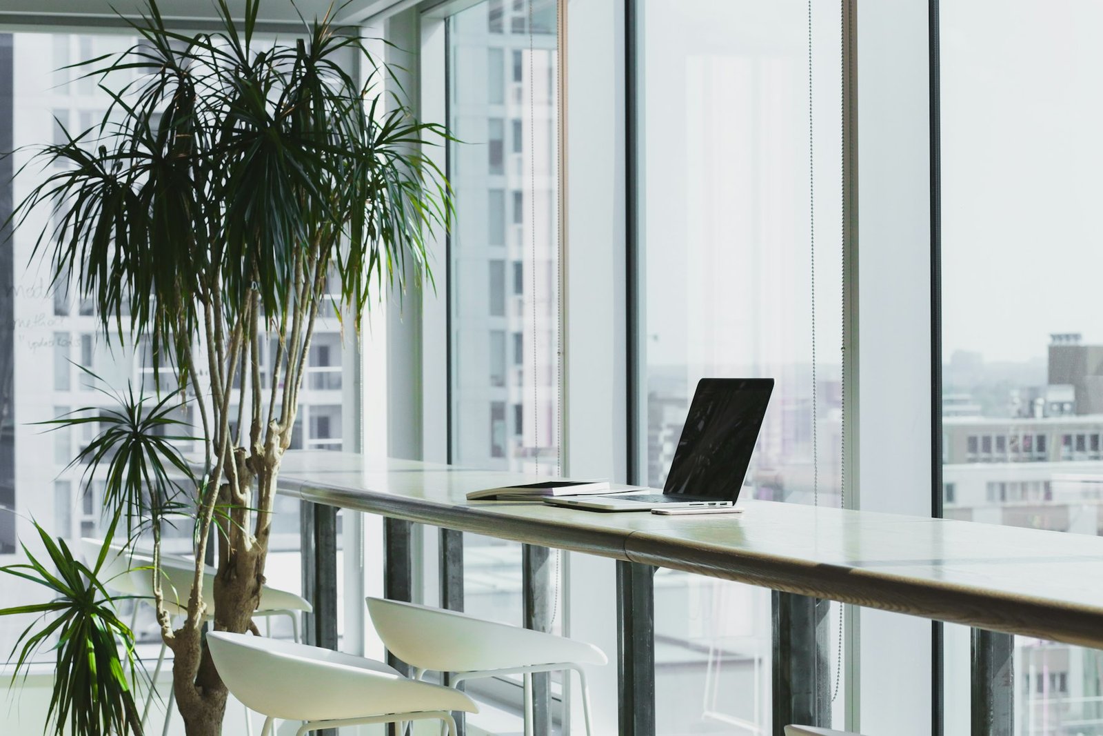 Modern office with plants and natural light