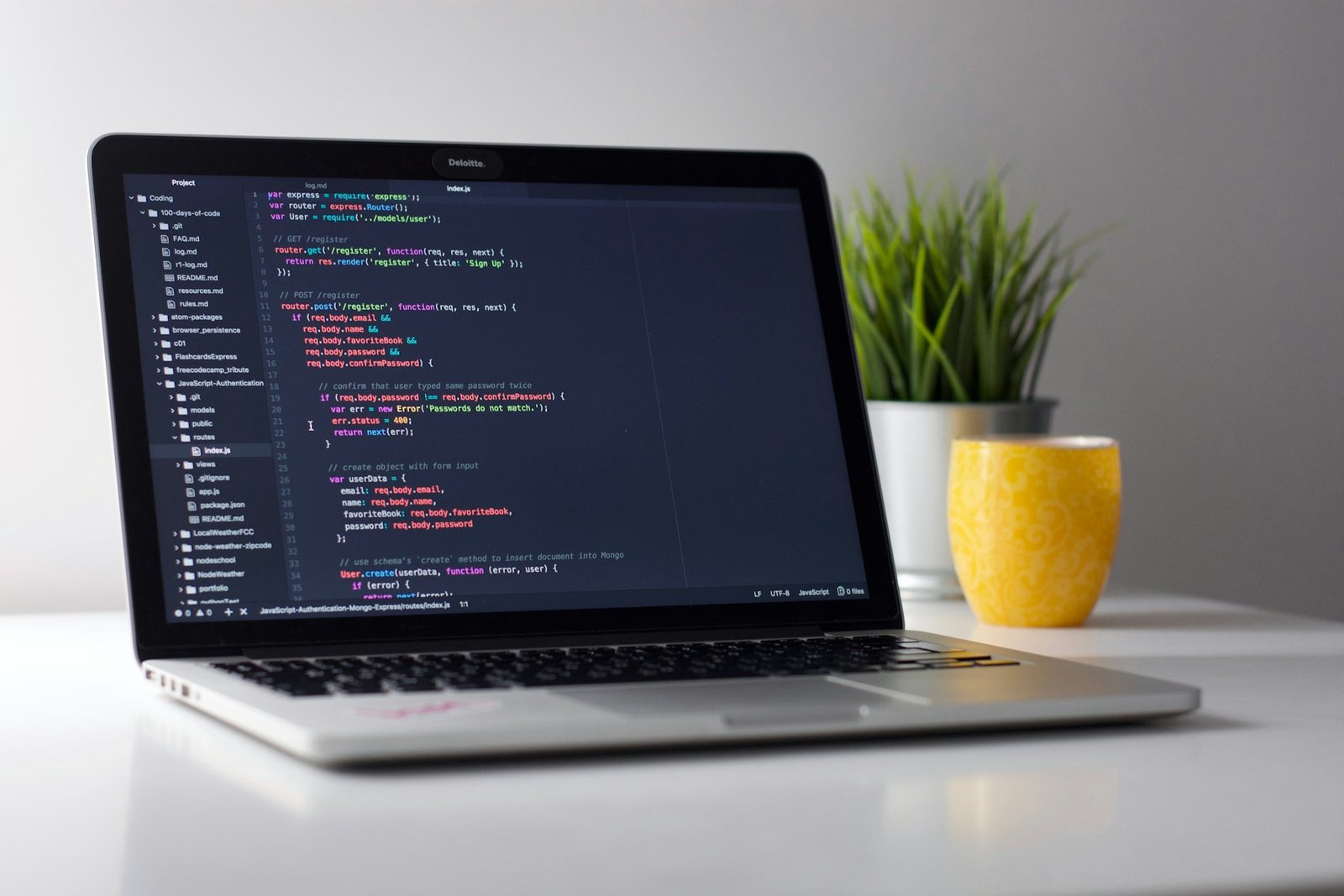 Laptop displaying website code next to a plant